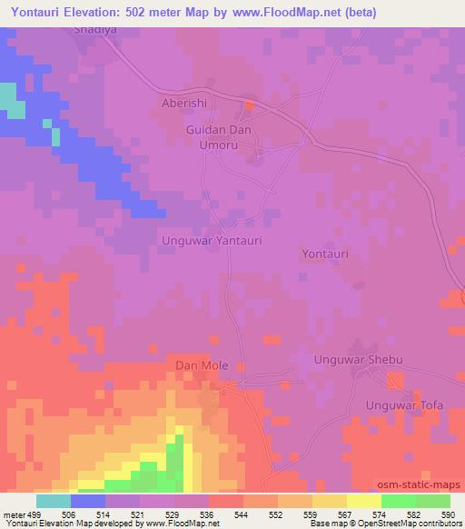 Yontauri,Nigeria Elevation Map