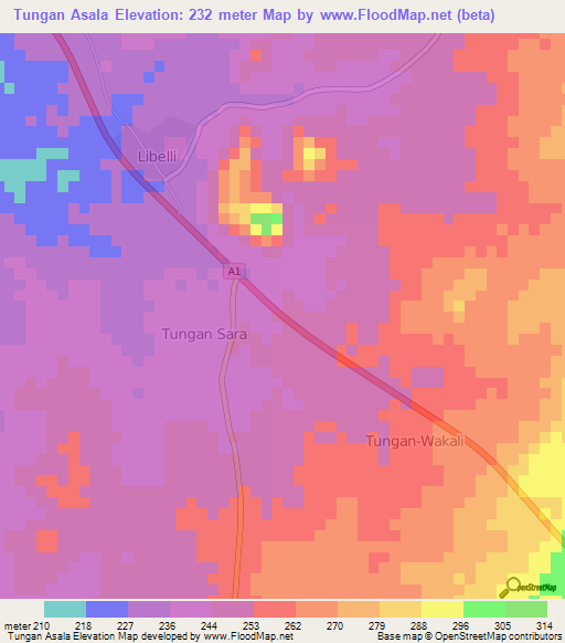 Tungan Asala,Nigeria Elevation Map