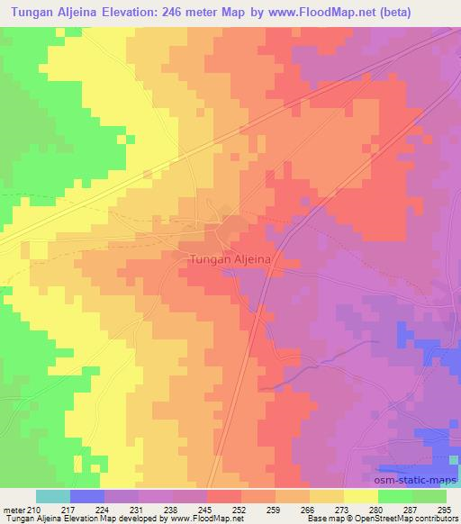 Tungan Aljeina,Nigeria Elevation Map