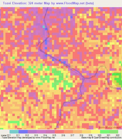 Tozei,Nigeria Elevation Map