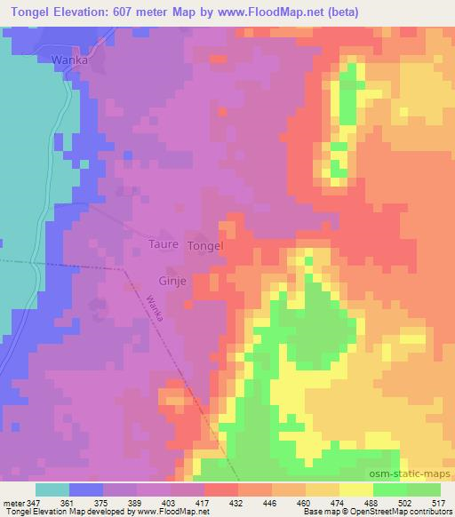 Tongel,Nigeria Elevation Map