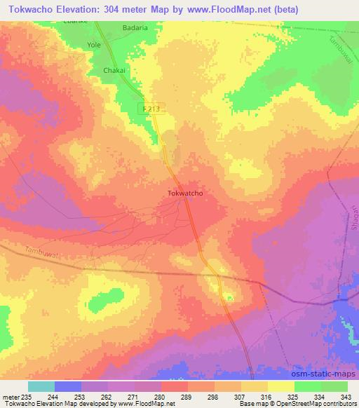 Tokwacho,Nigeria Elevation Map