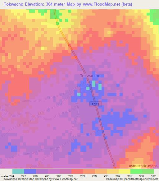 Tokwacho,Nigeria Elevation Map