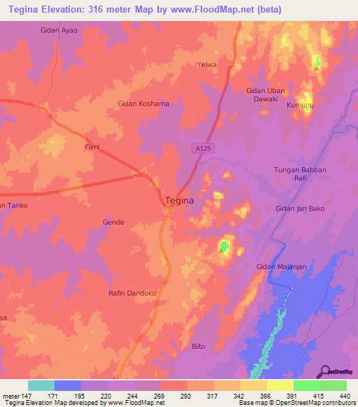 Tegina,Nigeria Elevation Map