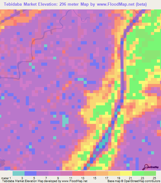 Tebidaba Market,Nigeria Elevation Map