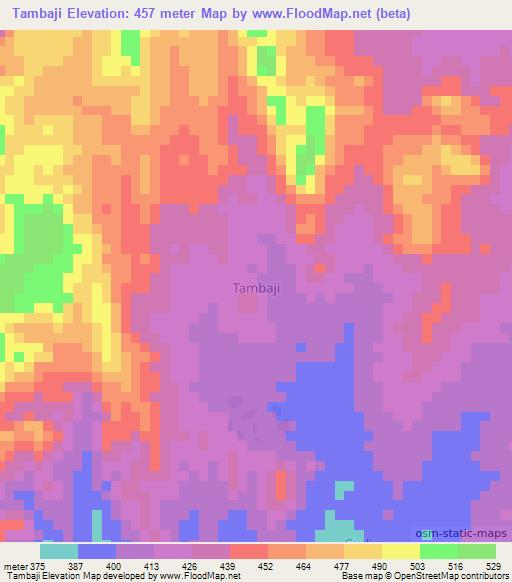 Tambaji,Nigeria Elevation Map