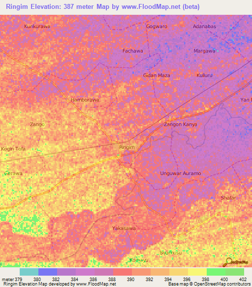 Ringim,Nigeria Elevation Map