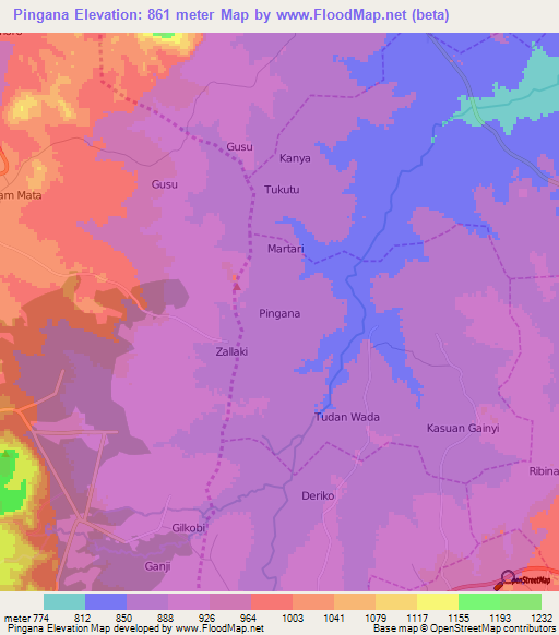 Pingana,Nigeria Elevation Map