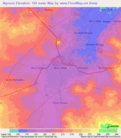 Ngurore,Nigeria Elevation Map