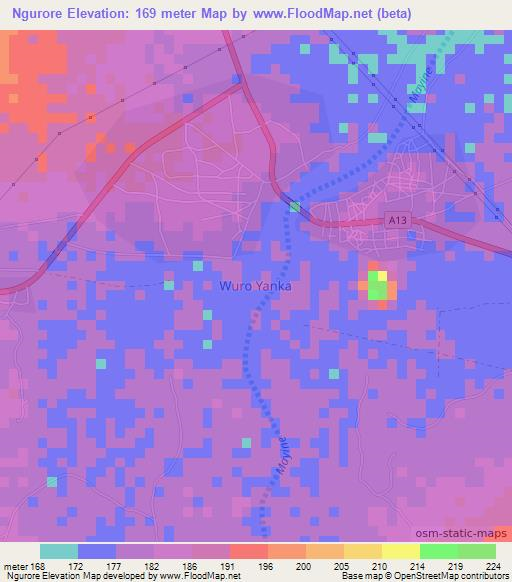 Ngurore,Nigeria Elevation Map