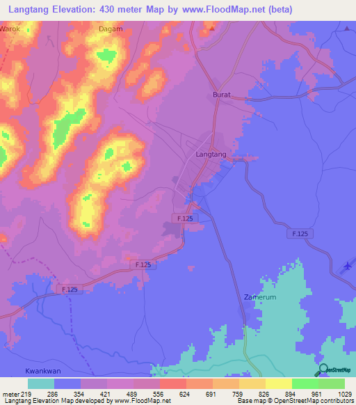 Langtang,Nigeria Elevation Map