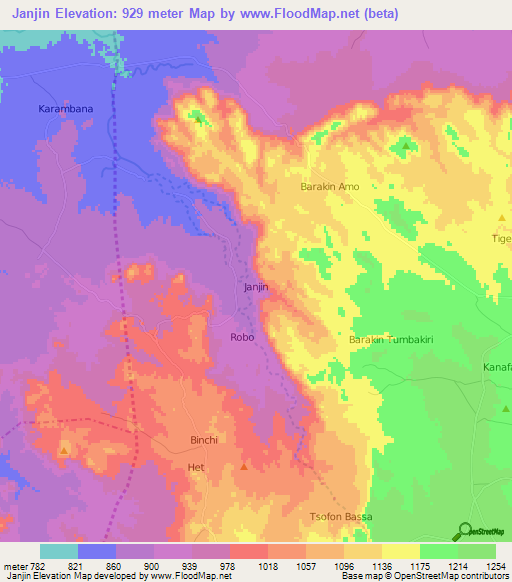 Janjin,Nigeria Elevation Map