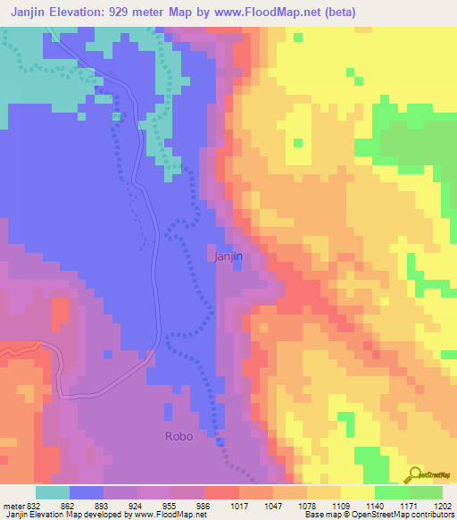 Janjin,Nigeria Elevation Map