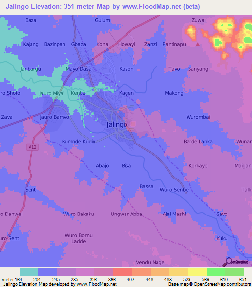 Jalingo,Nigeria Elevation Map