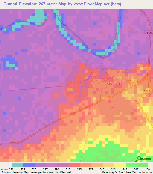 Gummi,Nigeria Elevation Map