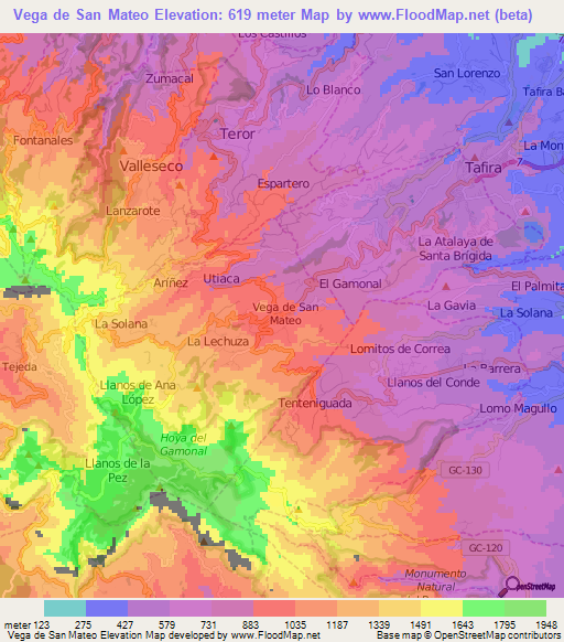 Vega de San Mateo,Spain Elevation Map