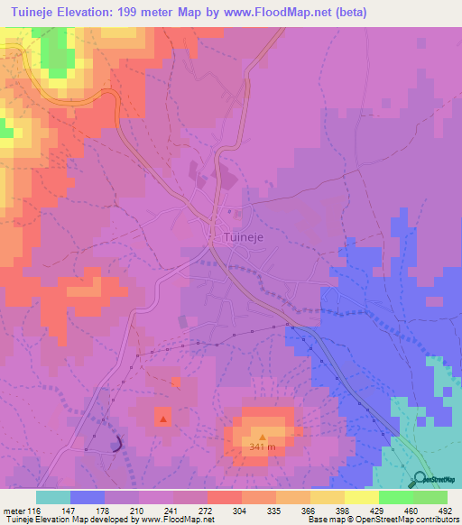 Tuineje,Spain Elevation Map