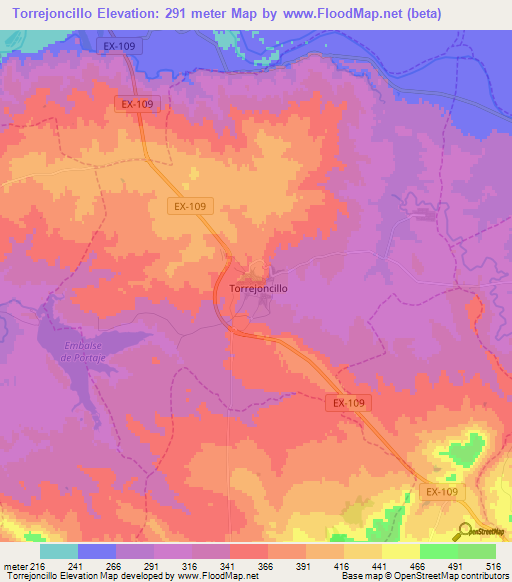 Torrejoncillo,Spain Elevation Map