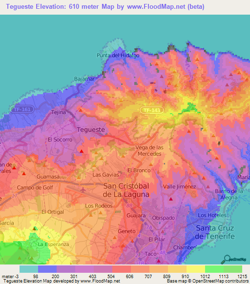 Tegueste,Spain Elevation Map