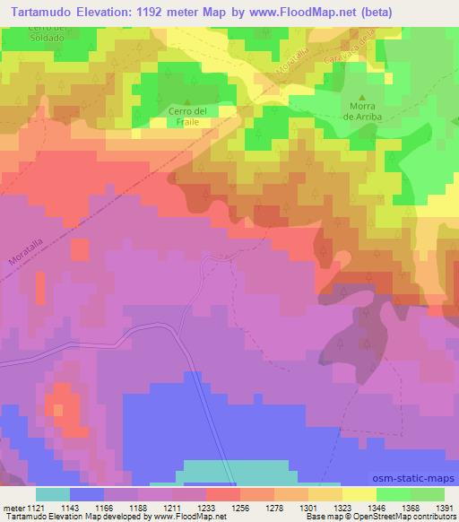 Tartamudo,Spain Elevation Map