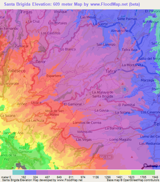 Santa Brigida,Spain Elevation Map