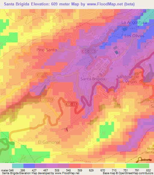 Santa Brigida,Spain Elevation Map