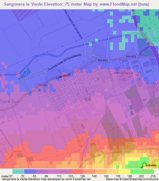 Sangonera la Verde,Spain Elevation Map