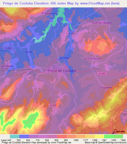 Priego de Cordoba,Spain Elevation Map