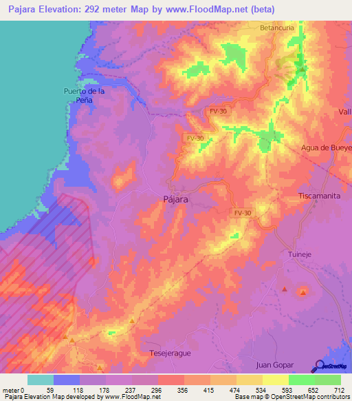 Pajara,Spain Elevation Map