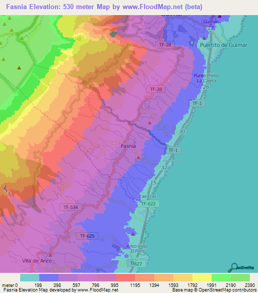 Fasnia,Spain Elevation Map