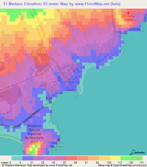 El Medano,Spain Elevation Map