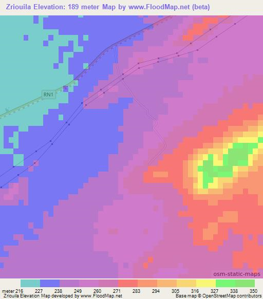 Zriouila,Morocco Elevation Map