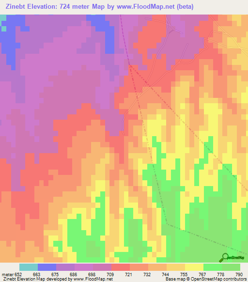 Zinebt,Morocco Elevation Map