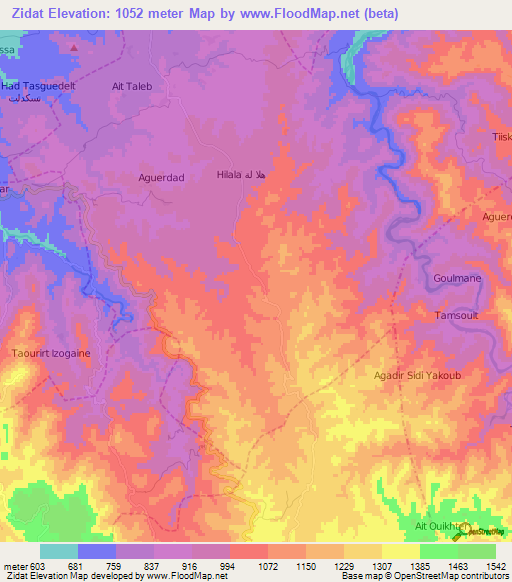 Zidat,Morocco Elevation Map