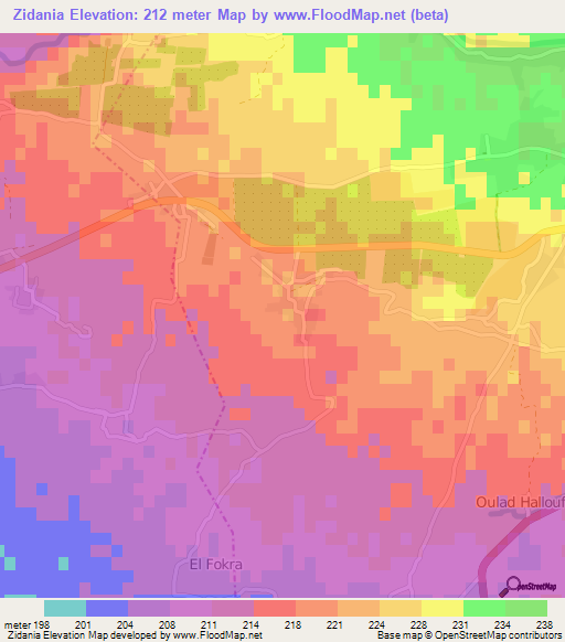 Zidania,Morocco Elevation Map