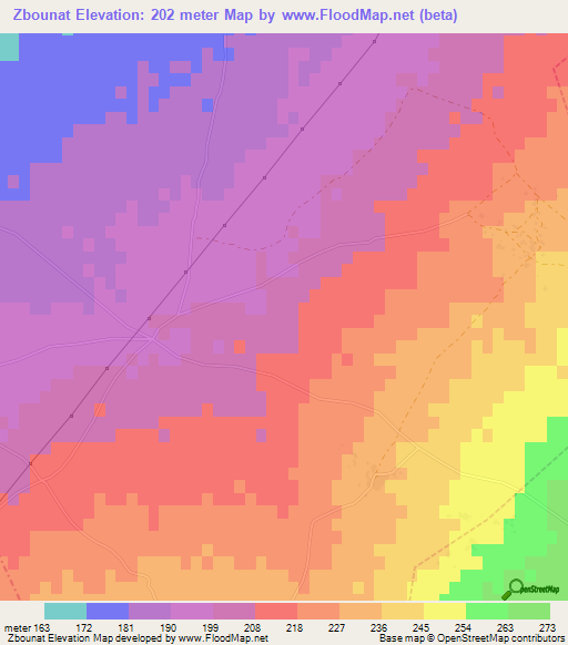 Zbounat,Morocco Elevation Map