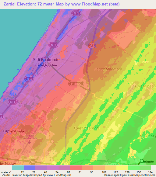 Zardal,Morocco Elevation Map