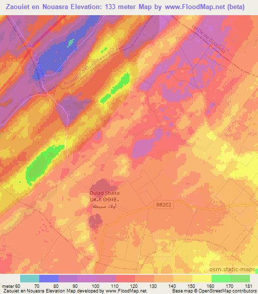 Zaouiet en Nouasra,Morocco Elevation Map