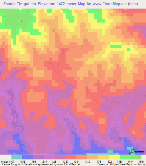 Zaouia Timguilcht,Morocco Elevation Map