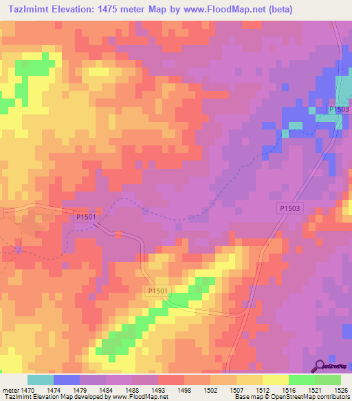 Tazlmimt,Morocco Elevation Map