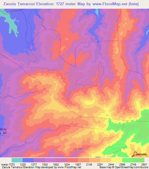 Zaouia Tamarout,Morocco Elevation Map