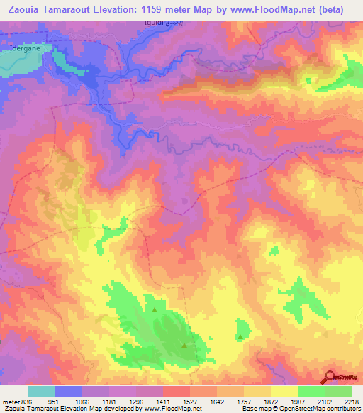 Zaouia Tamaraout,Morocco Elevation Map