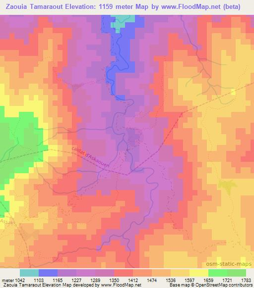 Zaouia Tamaraout,Morocco Elevation Map