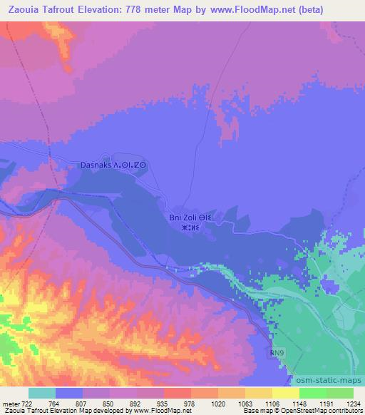 Zaouia Tafrout,Morocco Elevation Map