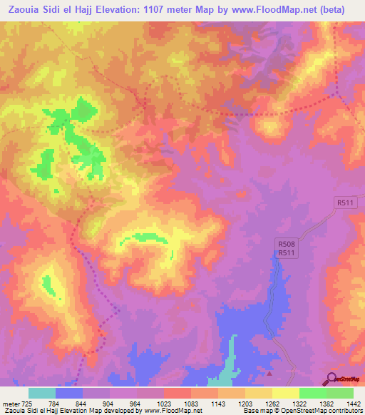 Zaouia Sidi el Hajj,Morocco Elevation Map