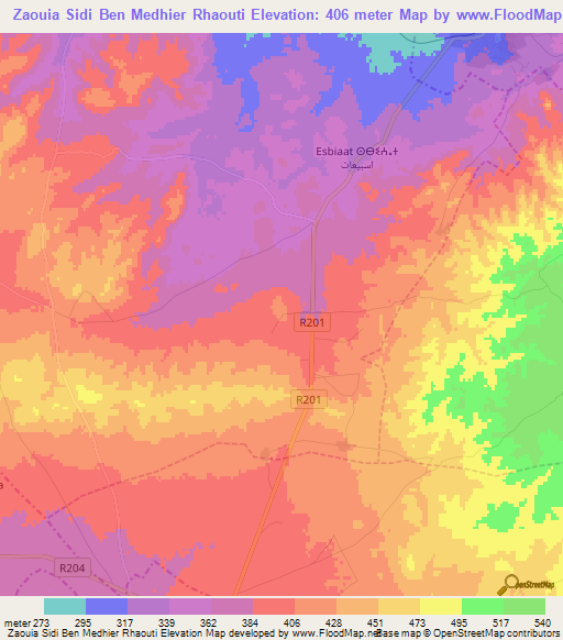 Zaouia Sidi Ben Medhier Rhaouti,Morocco Elevation Map