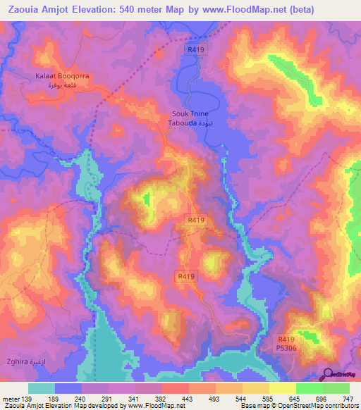 Zaouia Amjot,Morocco Elevation Map