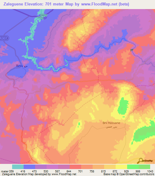 Zaleguene,Morocco Elevation Map