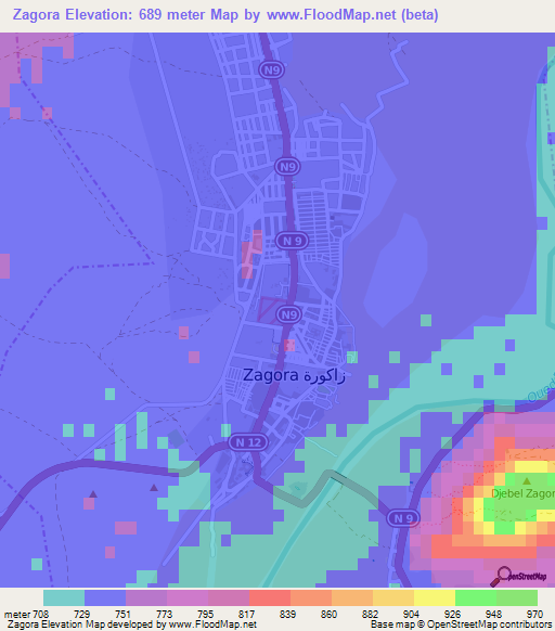 Zagora,Morocco Elevation Map