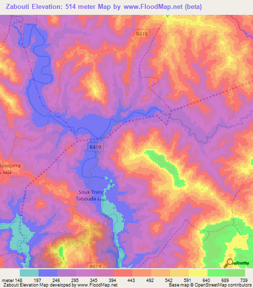 Zabouti,Morocco Elevation Map